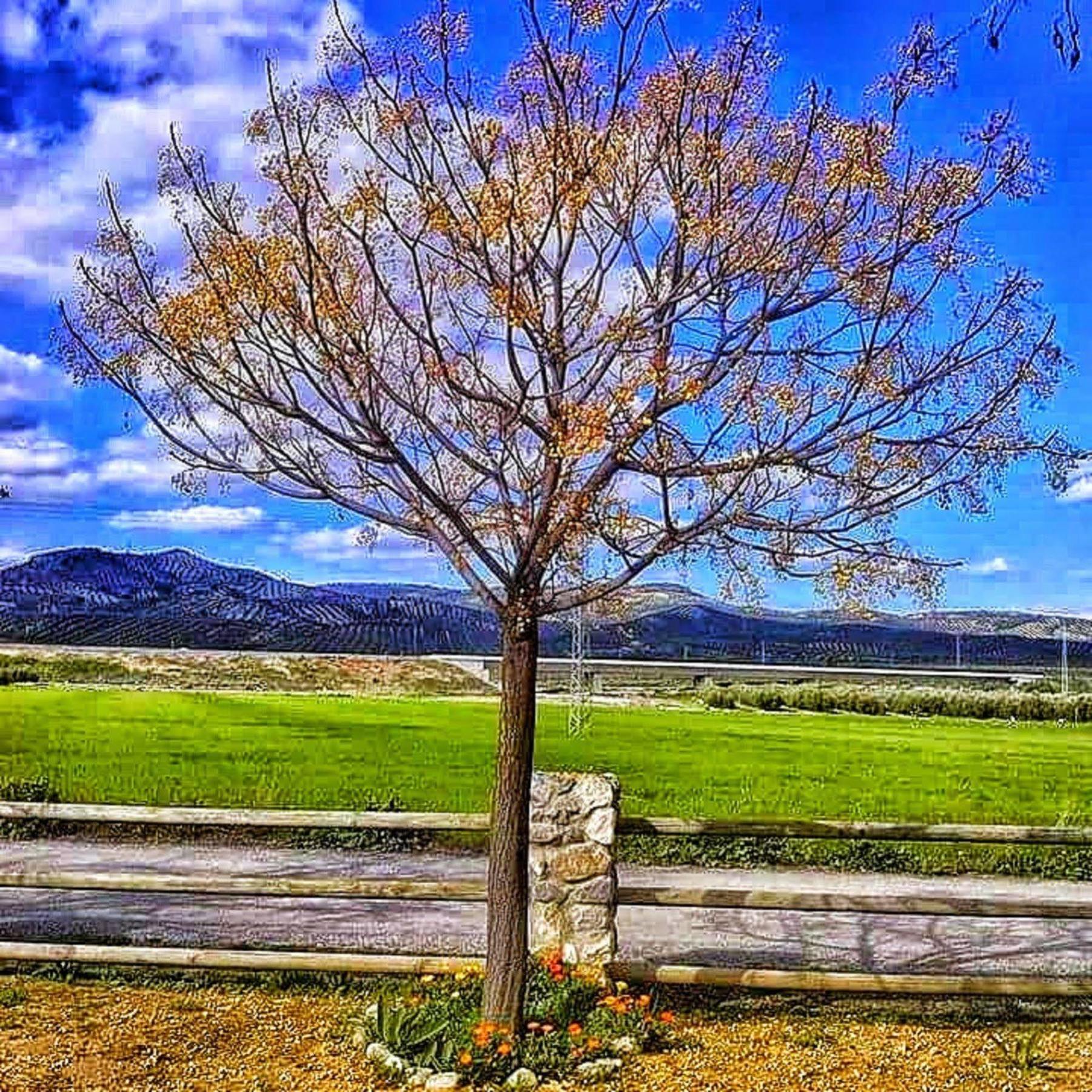 Alojamiento Rural El Cortijuelo 호텔 이요라 외부 사진